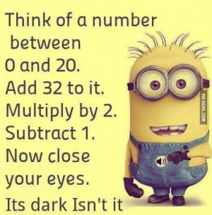 Minions Quotes - This is my kind of math problem and my answer is 