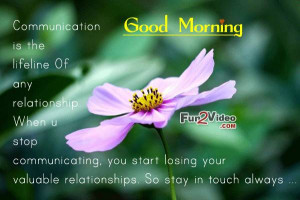 Stay in Touch Good Morning