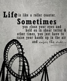 ... coasterenjoy life quotes roller coasters rollers coasters quotes