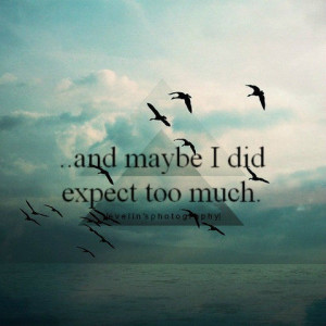 and maybe I did expect too much.