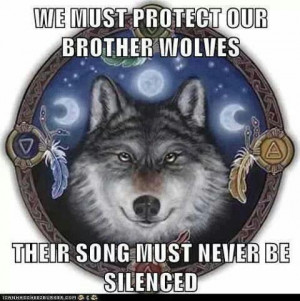Brother wolf