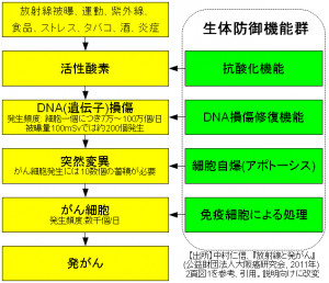 defense mechanisms projection