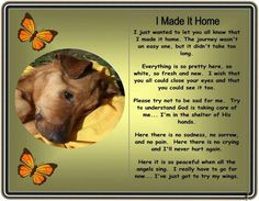 made it home ~ loss of pet great to give to kids when they lose a ...