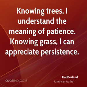 ... the meaning of patience. Knowing grass, I can appreciate persistence
