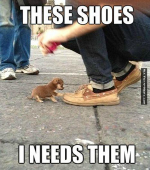 Animal memes – These shoes. I needs them.