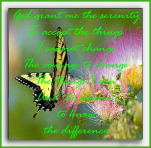More Butterfly Quotes Comments