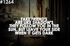 Fake friend's are like shadow's they follow you in the sun, but leave ...
