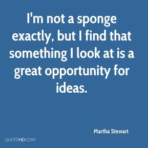 Martha Stewart I 39 m not a sponge exactly but I find that something I