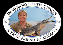 Steve Irwin – Bio | Pics | Fans | Wiki | Quotes