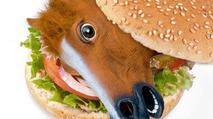 horse-hamburger.0.jpg