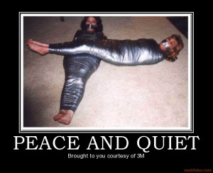 PEACE AND QUIET - Brought to you courtesy of 3M demotivational poster