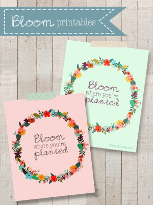 Colorful printables with a great reminder to Bloom Where You Are ...