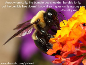 , the bumble bee shouldn't be able to fly, but the bumble ...