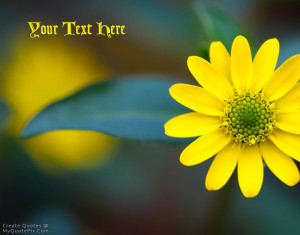 Quote Design Maker - Yellow Macro Flower Quotes