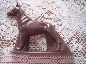 what is better than chocolate and a doberman a chocolate doberman i ...