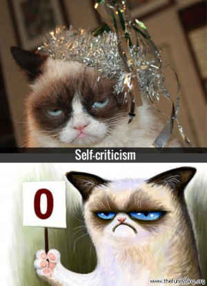 funny grumpy cat self-criticism christmas