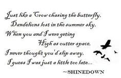 Shinedown music-i-like