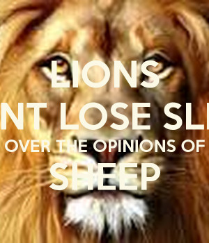 Lions Don't Lose Sleep Over Sheep