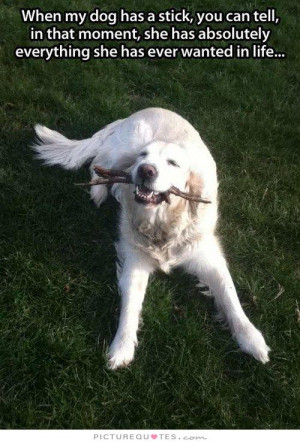 When my dog has a stick, you can tell, in that moment, she has ...