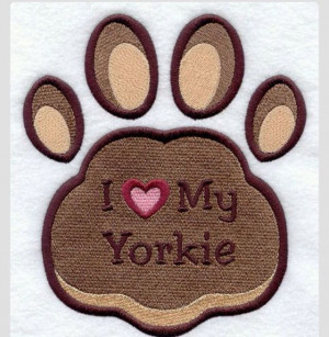 love my yorkie 