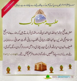 wallpaper picture image islamic information English and urdu