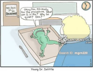 Dissect cartoons, Dissect cartoon, funny, Dissect picture, Dissect ...