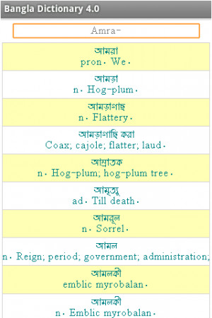 Bangla 2 English Dictionary - screenshot