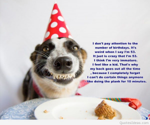 Happy Birthday Images Funny Dog Dog Happy Birthday Quote