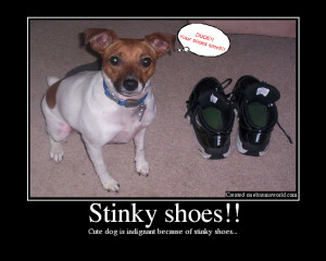 Stinky Shoes