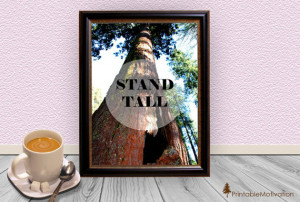 Stand Tall Photo Quote Print - Redwood Tree Photo - Typography Art ...