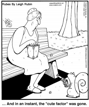 Leigh may be on vacatio n but his cartoons are still working at: www ...