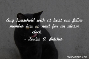cat-Any household with at least one feline member has no need for an ...