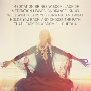 Meditation brings wisdom; lack of meditation leaves ignorance. Know ...