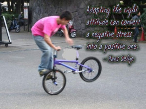 Our Attitude Attitude Quotes
