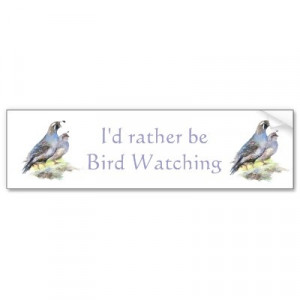 Rather be Bird Watching