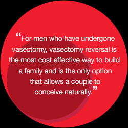 Quotes About Vasectomies...