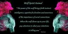 wolf spirit animal more power animal spirituality animal spirit animal ...