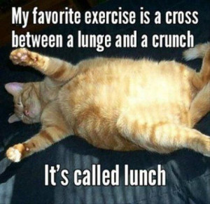 My favorite exercise in a cross between a lunge and a crunch. It’s ...