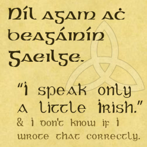 ... irish celtic gaelic fonts 238 x 340 35 kb jpeg funny irish blessings