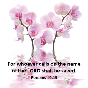 Bible Verses About Stones