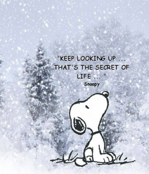 look up snoopy
