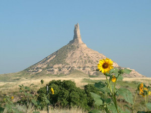 Health Insurance Plans