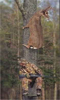 Funny Deer Hunter Pictures | funny deer hunting graphics and comments ...