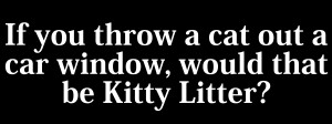 If you throw a cat out a car window