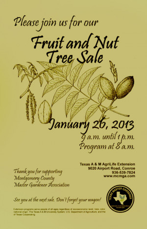 2013-cropped-FnN-small-flye