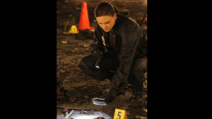 Funny Quotes Contact Us DMCA Notice