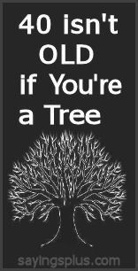 56 great 40th birthday quotes and sayings about being 40 more birthday ...