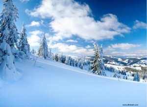 wallpaper hd wallpapers wallpaper for your desktop smartphone tablet ...