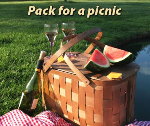 the art of picnic picnic