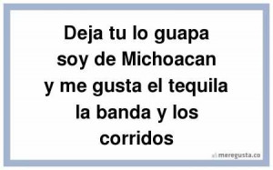 Deja tu lo guapa soy de Michoacan y me gusta el tequila la banda y los